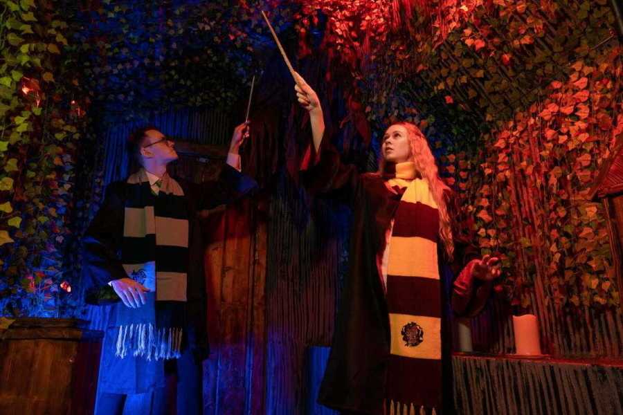 Квест в реальности Гарри от компании Iquest Квест в реальности Гарри от компании Iquest