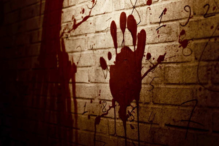 Квест в реальности Коллекционер от компании The Lost Квест в реальности Коллекционер от компании The Lost